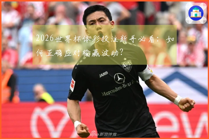 2026世界杯体彩投注新手必看：如何正确应对输赢波动？