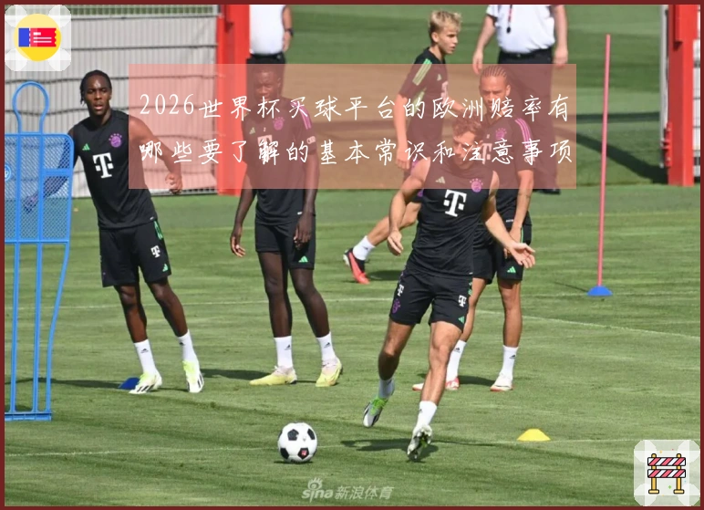 2026世界杯买球平台的欧洲赔率有哪些要了解的基本常识和注意事项