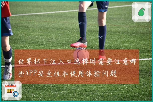世界杯下注入口选择时需要注意哪些APP安全性和使用体验问题