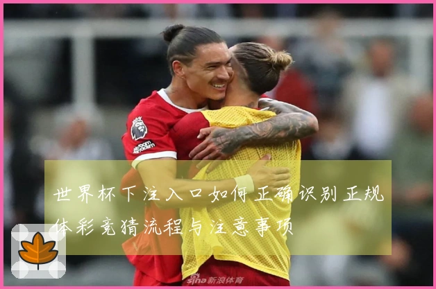 世界杯下注入口如何正确识别正规体彩竞猜流程与注意事项