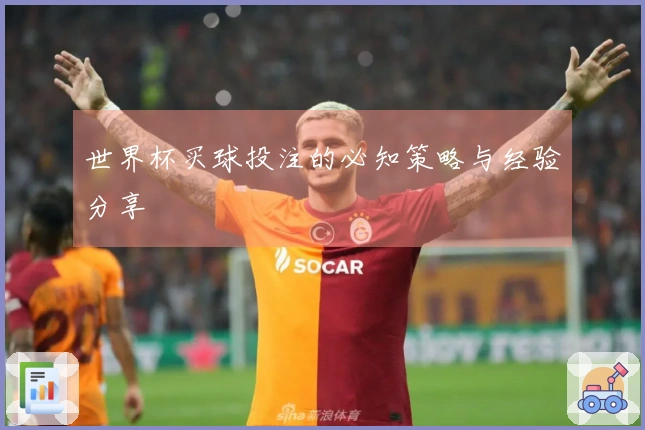 世界杯买球投注的必知策略与经验分享