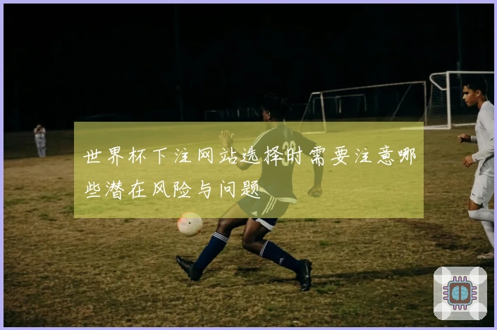 世界杯下注网站选择时需要注意哪些潜在风险与问题