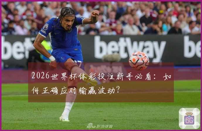 2026世界杯体彩投注新手必看：如何正确应对输赢波动？