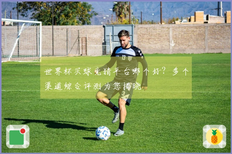 世界杯买球竞猜平台哪个好？多个渠道综合评测为您揭晓