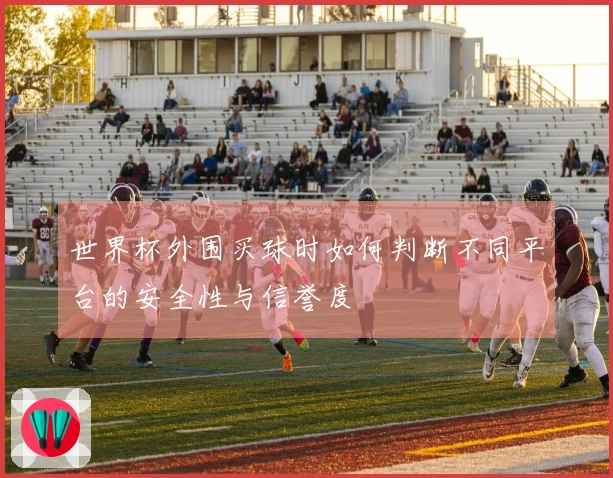 世界杯外围买球时如何判断不同平台的安全性与信誉度