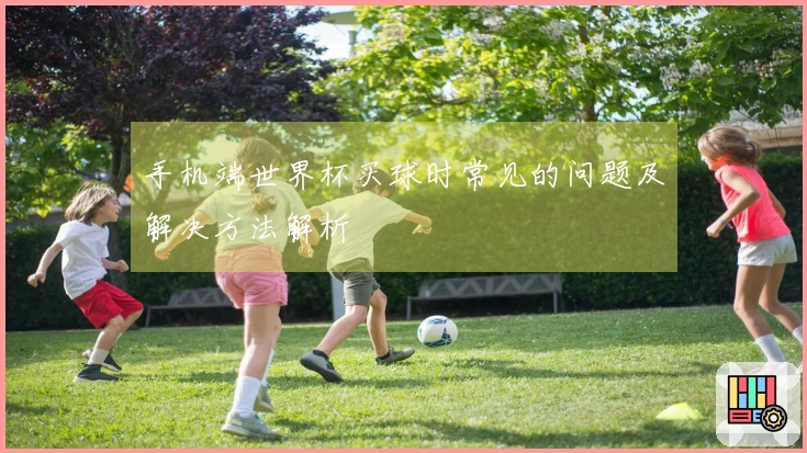 手机端世界杯买球时常见的问题及解决方法解析