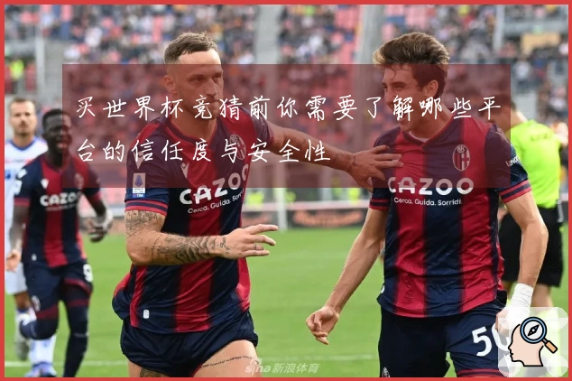 买世界杯竞猜前你需要了解哪些平台的信任度与安全性