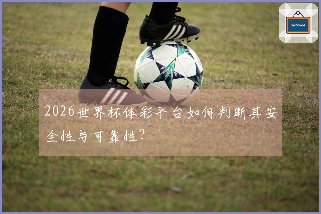 2026世界杯体彩平台如何判断其安全性与可靠性？