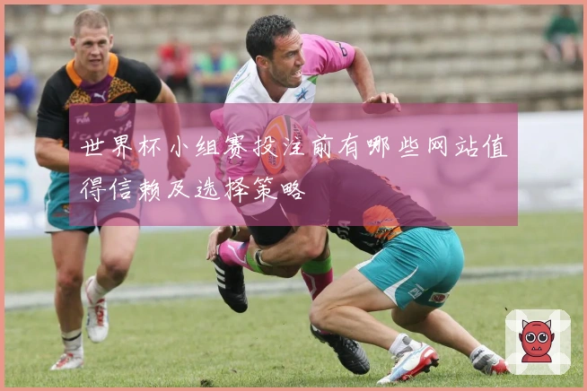 世界杯小组赛投注前有哪些网站值得信赖及选择策略