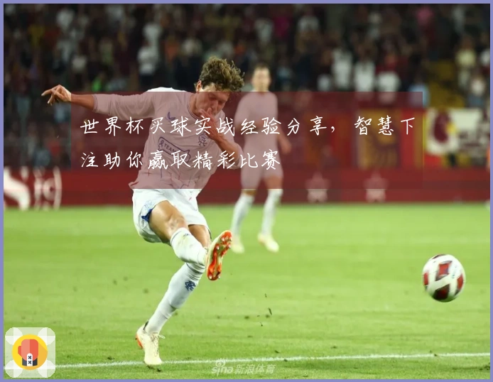 世界杯买球实战经验分享，智慧下注助你赢取精彩比赛