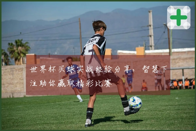 世界杯买球实战经验分享，智慧下注助你赢取精彩比赛