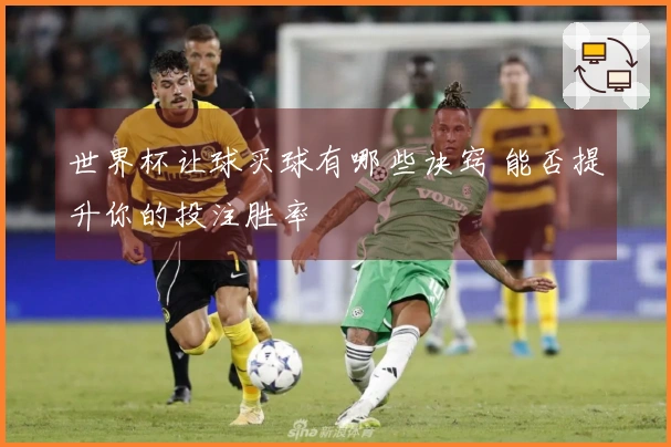 世界杯让球买球有哪些诀窍 能否提升你的投注胜率