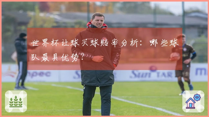 世界杯让球买球赔率分析：哪些球队最具优势？