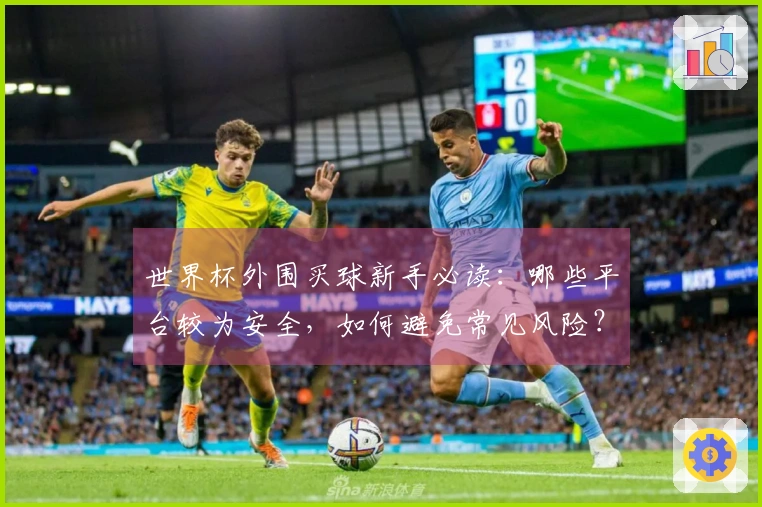 世界杯外围买球新手必读：哪些平台较为安全，如何避免常见风险？