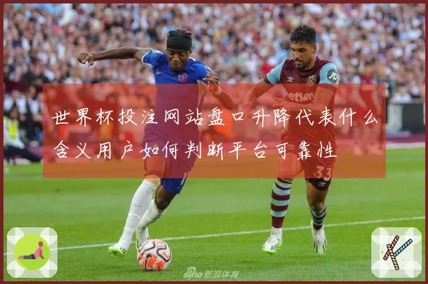 世界杯投注网站盘口升降代表什么含义用户如何判断平台可靠性