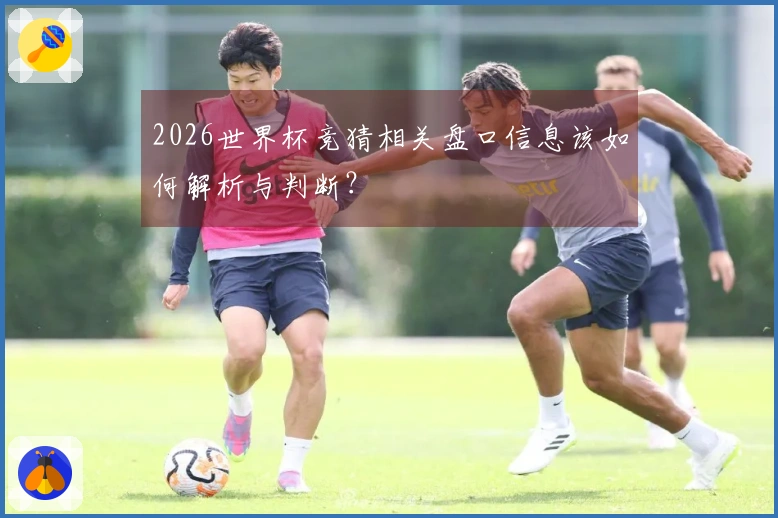 2026世界杯竞猜相关盘口信息该如何解析与判断？
