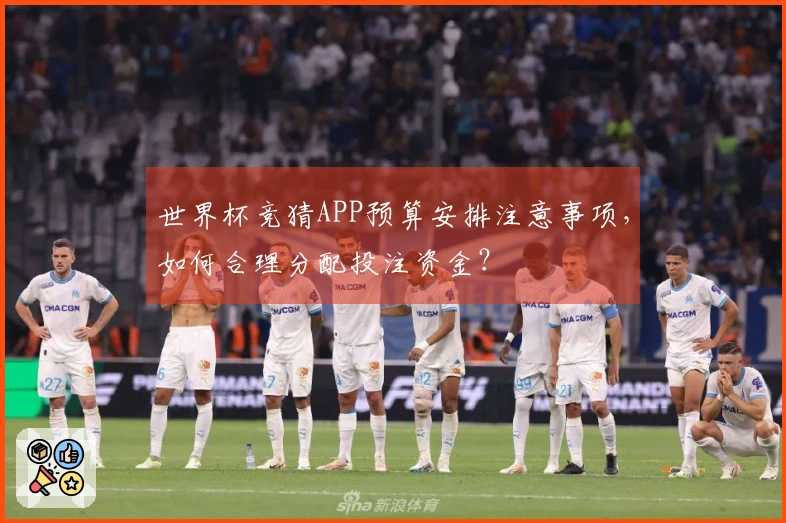 世界杯竞猜APP预算安排注意事项，如何合理分配投注资金？