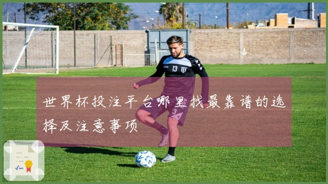 世界杯投注平台哪里找最靠谱的选择及注意事项