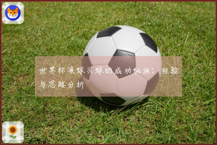 世界杯滚球买球的成功秘诀：经验与思路分析