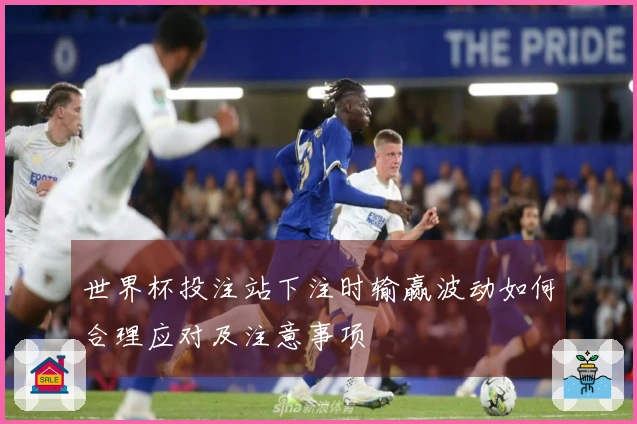 世界杯投注站下注时输赢波动如何合理应对及注意事项