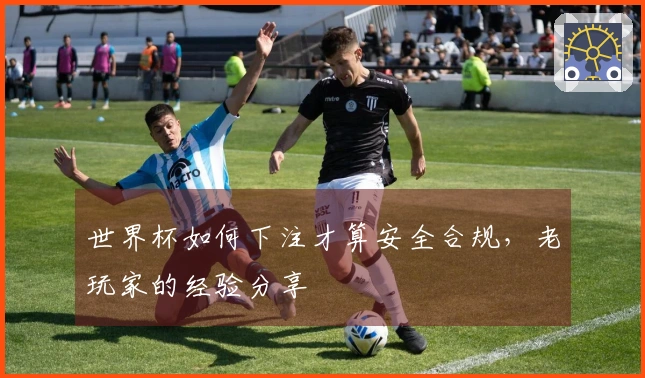 世界杯如何下注才算安全合规，老玩家的经验分享