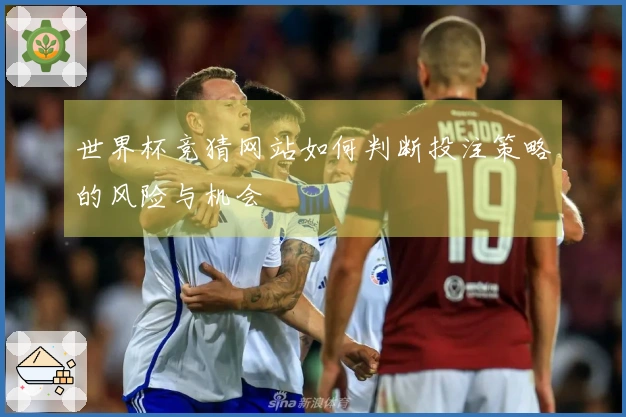 世界杯竞猜网站如何判断投注策略的风险与机会