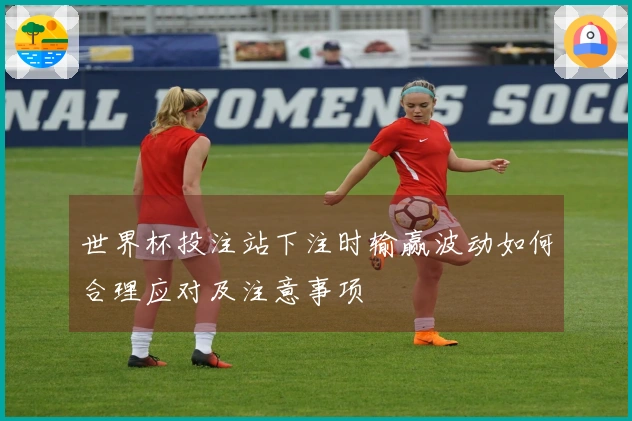 世界杯投注站下注时输赢波动如何合理应对及注意事项