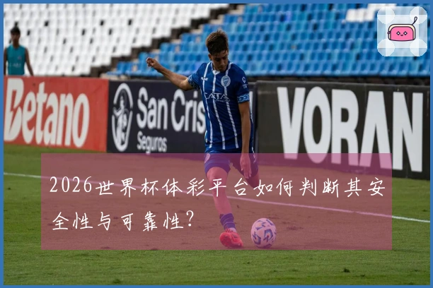 2026世界杯体彩平台如何判断其安全性与可靠性？