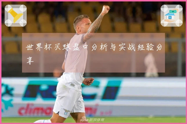 世界杯买球盘口分析与实战经验分享