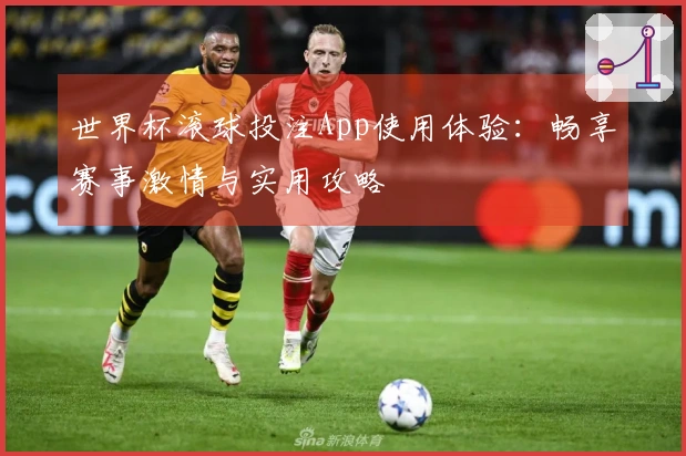 世界杯滚球投注App使用体验：畅享赛事激情与实用攻略