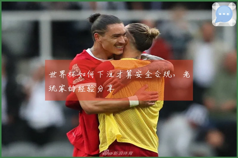 世界杯如何下注才算安全合规，老玩家的经验分享