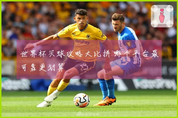 世界杯买球攻略大比拼 哪个平台最可靠更划算