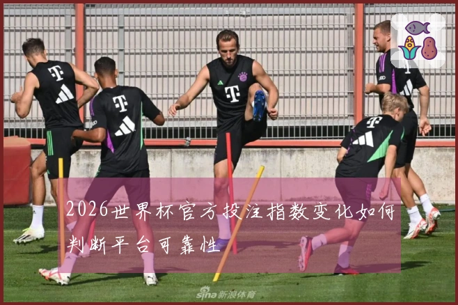 2026世界杯官方投注指数变化如何判断平台可靠性
