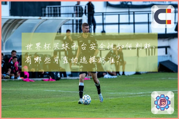 世界杯买球平台安全性如何判断，有哪些可靠的选择标准？