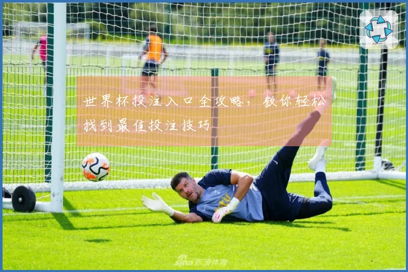世界杯投注入口全攻略，教你轻松找到最佳投注技巧