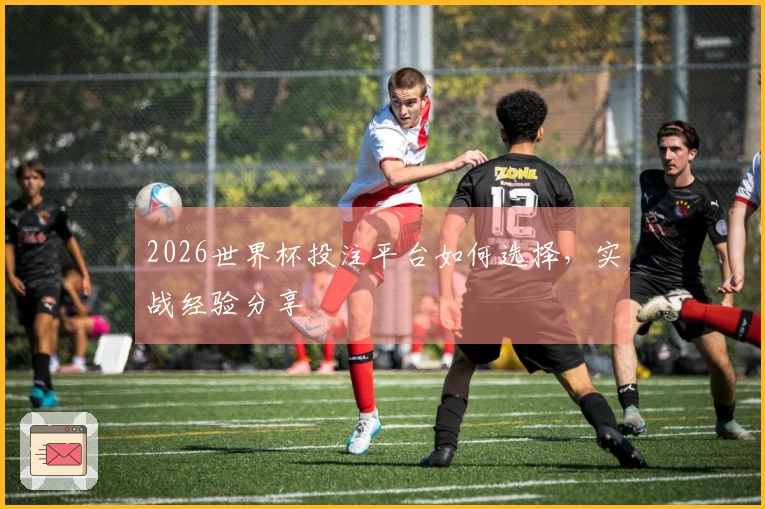 2026世界杯投注平台如何选择，实战经验分享