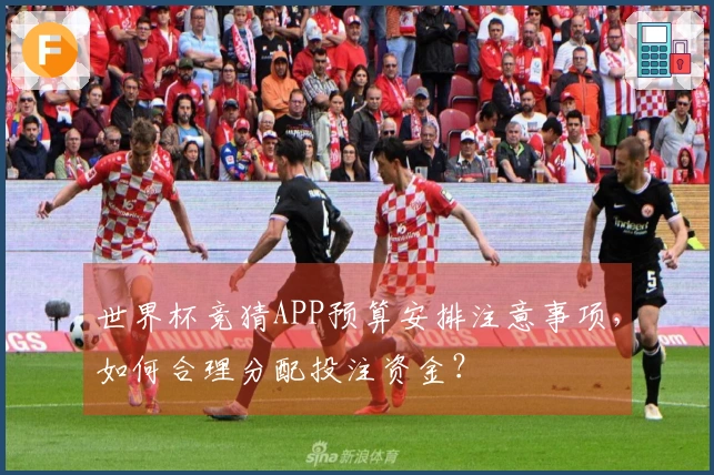 世界杯竞猜APP预算安排注意事项，如何合理分配投注资金？