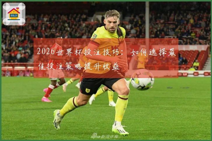 2026世界杯投注技巧：如何选择最佳投注策略提升收益