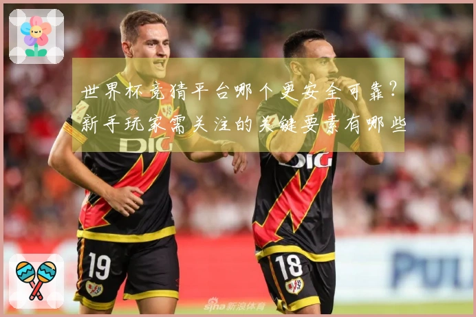 世界杯竞猜平台哪个更安全可靠？新手玩家需关注的关键要素有哪些
