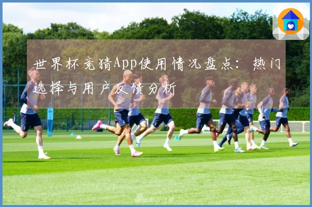 世界杯竞猜App使用情况盘点：热门选择与用户反馈分析
