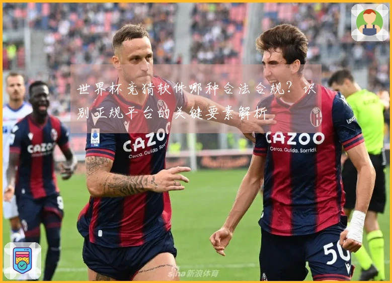 世界杯竞猜软件哪种合法合规？识别正规平台的关键要素解析