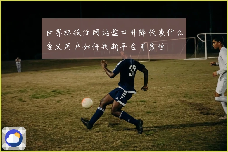 世界杯投注网站盘口升降代表什么含义用户如何判断平台可靠性