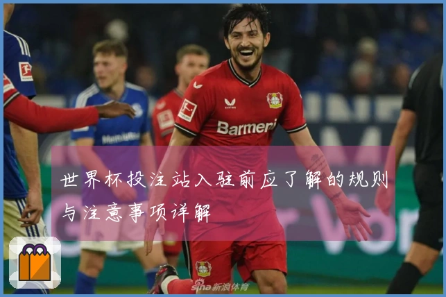 世界杯投注站入驻前应了解的规则与注意事项详解