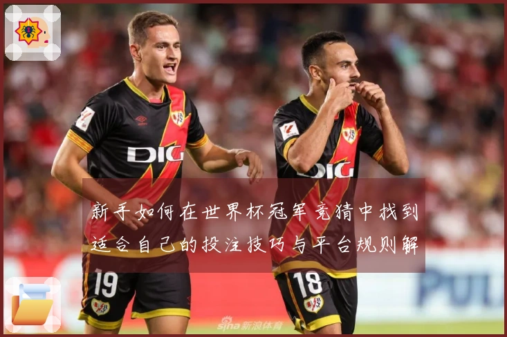 新手如何在世界杯冠军竞猜中找到适合自己的投注技巧与平台规则解析